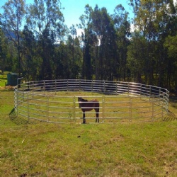 HORSE PANEL FENCE